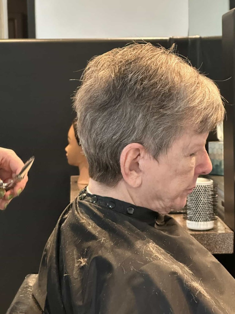 hair color, haircut, hair extensions